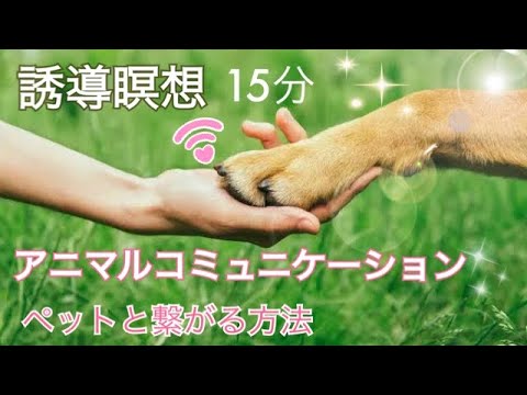 動物のコミュニケーション方法