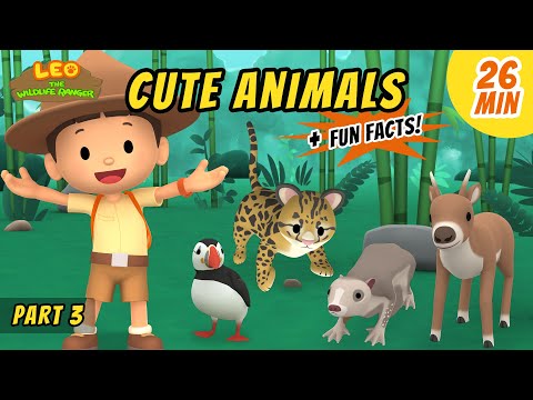 Witness21 Editor  2020 06 25