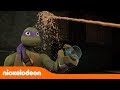 Las Tortugas Ninja Desastre Y Uno Tmnt Nickelodeon En E