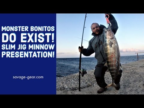 Huge bonito on shore jigging and presentation of the new Slim jig Minnow!