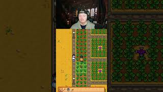 A nice way to calm the heart down- Stardew Valley