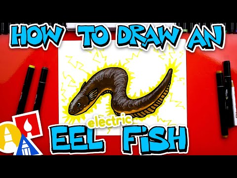How To Draw An Electric Eel Fish