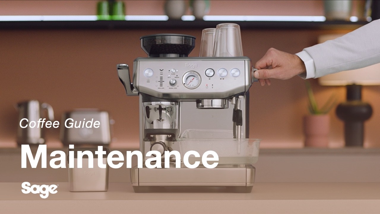 How to perform a cleaning cycle