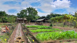 Full Video: 265 Days of Farm Life, Gardening, Cultivation, Cooking, Animal Care | Sơn Thôn