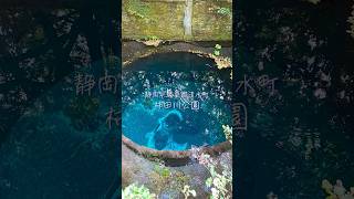 【柿田川公園】神秘的な青い湧水と日本三大清流の公園！【静岡県清水町】 #Shorts #静岡県 #パワースポット