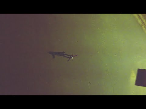Video thumbnail for Raw Red (Ra! Ra! Ra! Ra!)