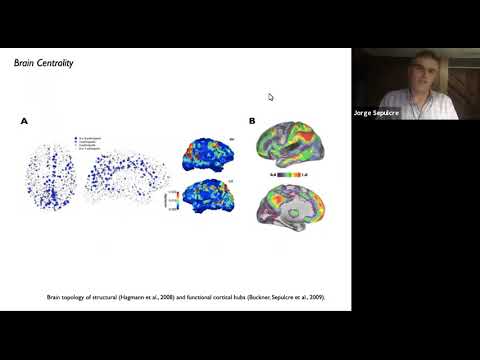 Innovators in Cognitive Neuroscience - Jorge Sepulcre, 10/28/2020