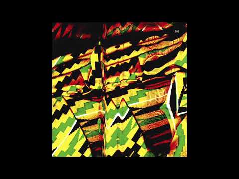 Burnt Friedman & João Pais - Out of Ape