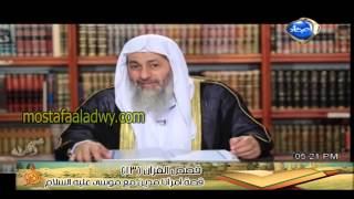 قصص القرآن 13 قصة آمرأتا مدين مع موسى عليه السلام