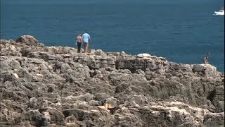 Miniatura do vídeo