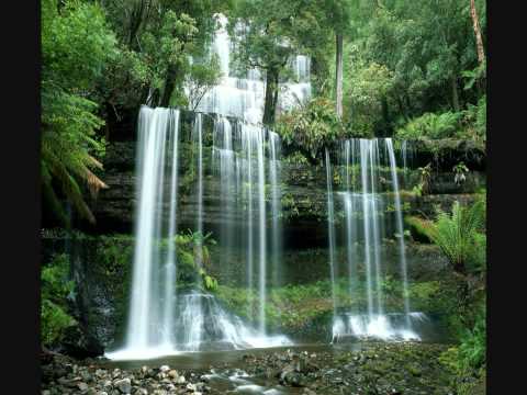 Corul Soli Deo Gloria - El ne'a condus