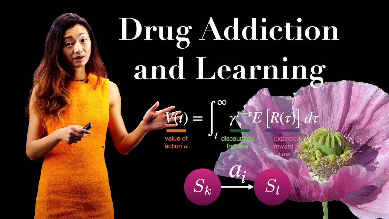 Drug Addiction and Learning