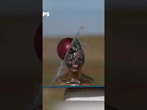 Could you survive this!? | #shorts