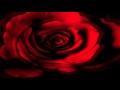 Tamia - Can't No Man