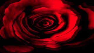 Tamia - Can&#39;t No Man