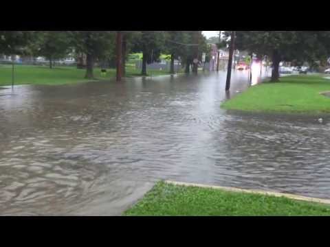 Von Nieda Raw Sewage 2013 01