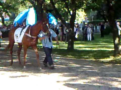 88. Magyar Derby, jártató