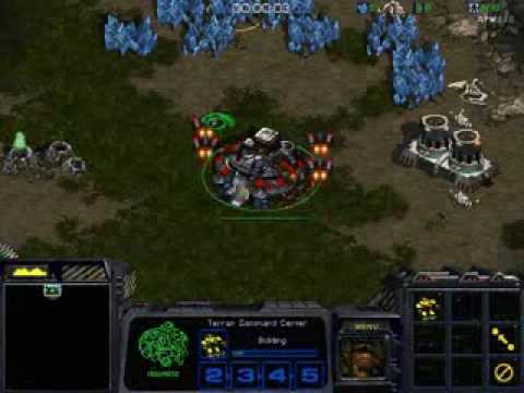 NiGoL Perfect Split Starcraft