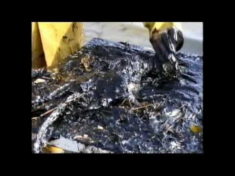 BP OIL SPILL LOUISIANA Manfred Breuersbrock www.breuersbrock.de