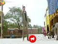 Sardaar Gabbar Singh Goosebumps Dialogue