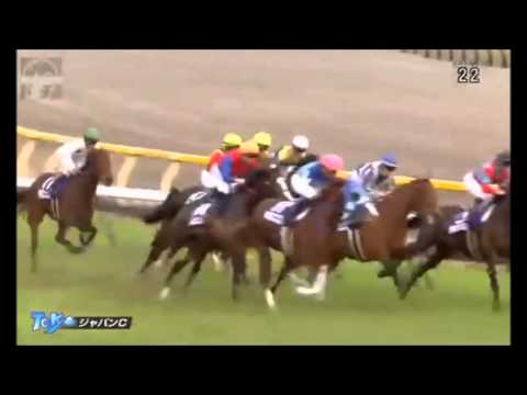 【第35回ジャパンカップ（G1）】単勝ショウナンパンドラ　的中　by なかキン