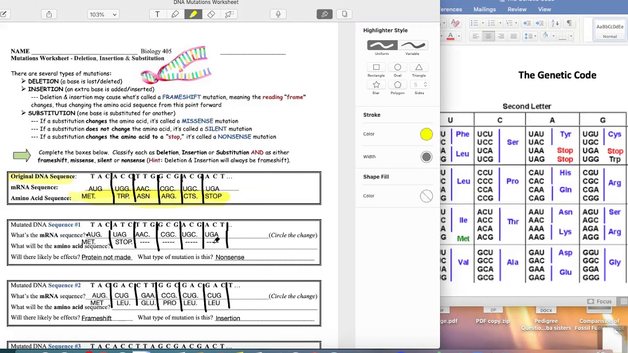 BIOLOGY DNA Mutations Worksheet Explained