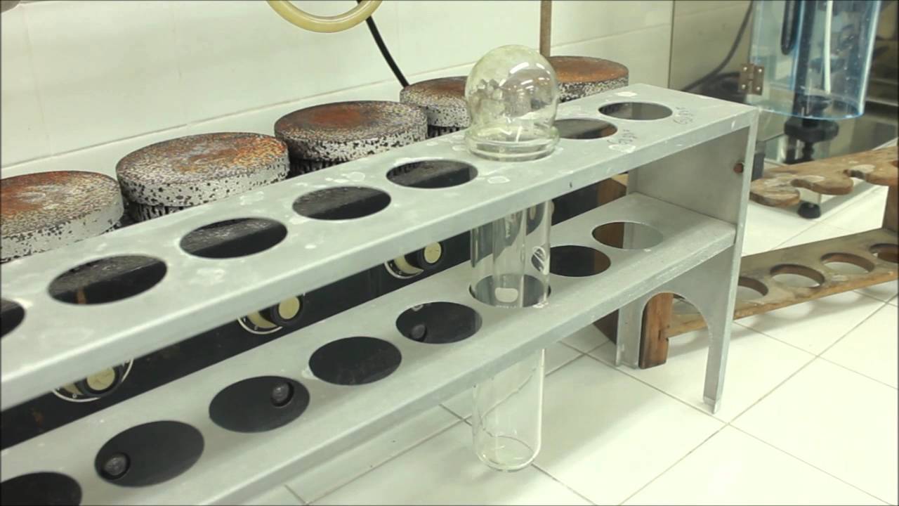 Composição Centesimal - Determinação de Proteínas pelo Método de Kjeldahl