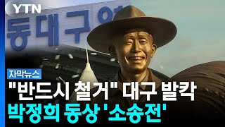 박정희 동상.둘로 쪼가진 여론