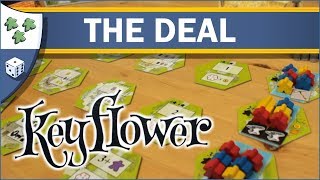 Keyflower video thumbnail
