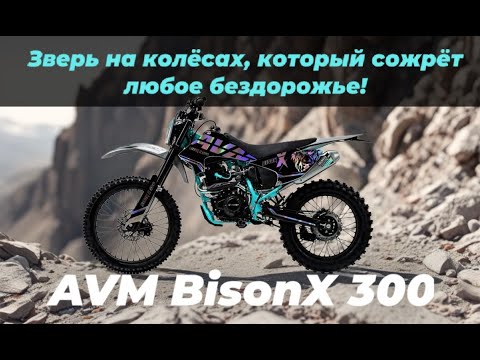 фото эндуро мотоцикл avm bisonx 300 0
