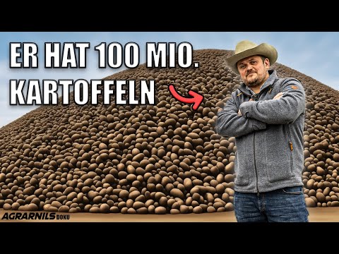 Max and his 100 million potatoes!🥔 | Tubers Baron Maxe