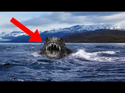 10 Most Mysterious Monster Sightings!