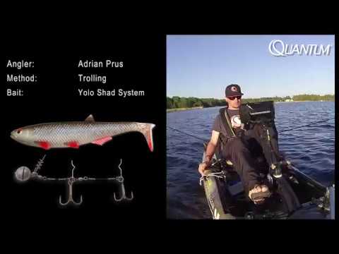 Adrian Prus Fishing Pike and Zander