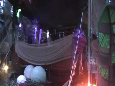 Xenoscapes Live Dragon Dreaming Festival 2011 pt3