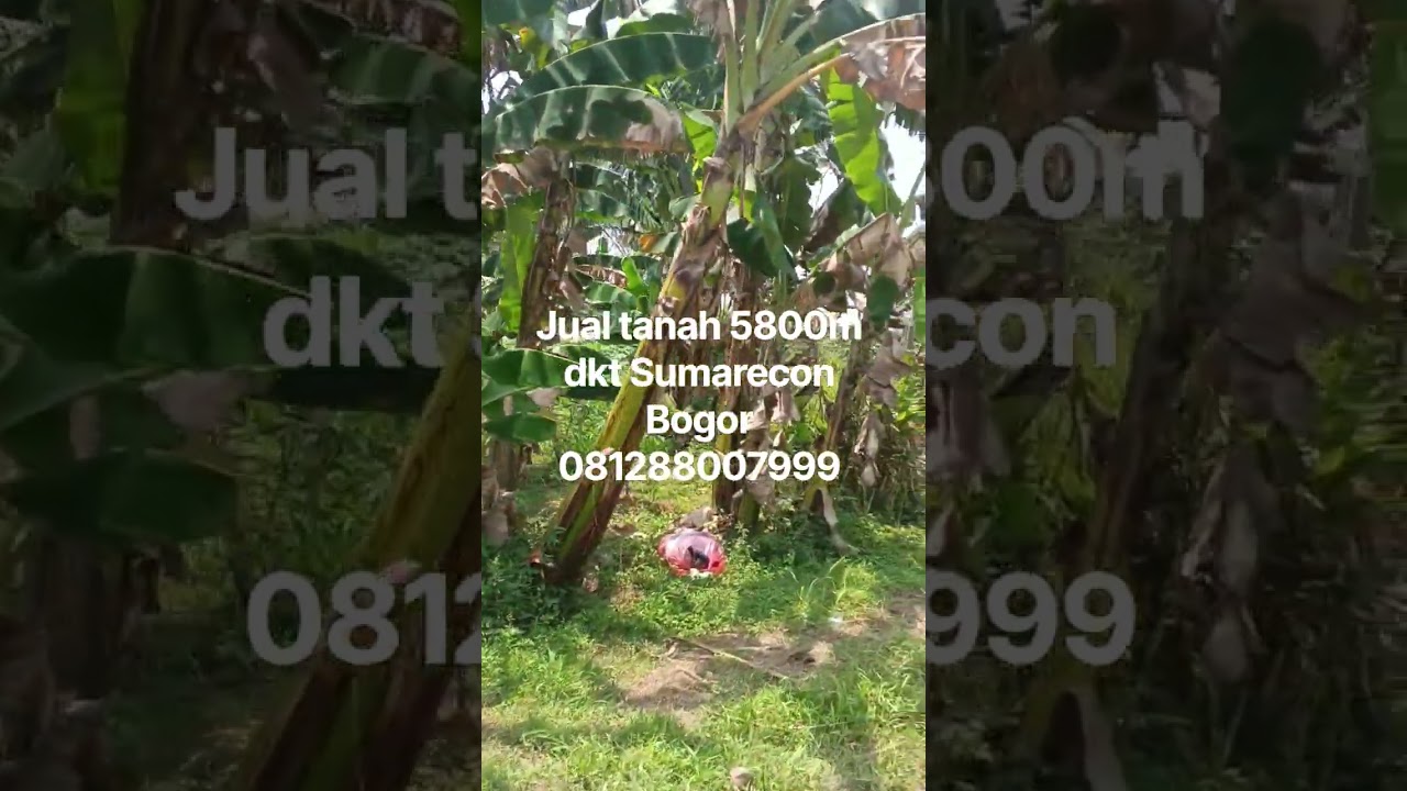 Land, Freehold Certificate (SHM),