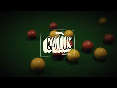 Gallus - Fruitflies (Official Video)