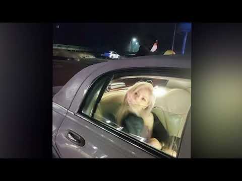 angelshawty - icing back home (prod. sachy, saturdaystacy)