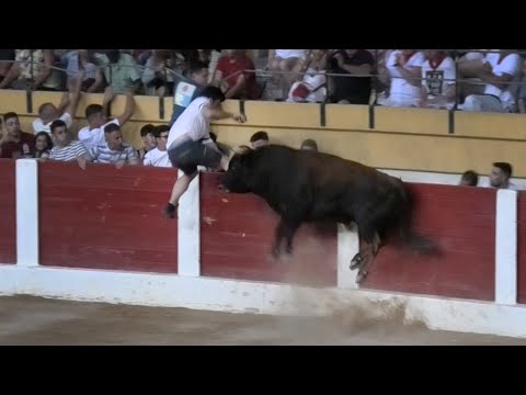 Íscar 2023 El Toro Salta Por el Chico