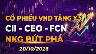 Phần 5. VND x3 lần; CII - CEO - FCN tạo đáy?