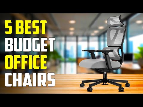 Top 5 Best Budget Office Chairs for 2025