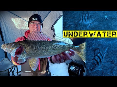 Bring on the 2023-2024 Ice Fishing Season! (Underwater Perch &amp; Walleye)