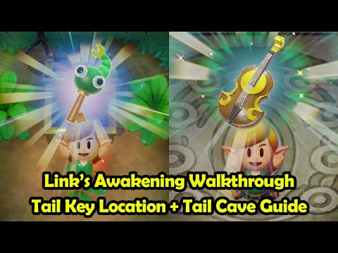 Tail Cave + Tail Key Location Walkthrough - The Legend of Zelda: Link's Awakening (Switch)