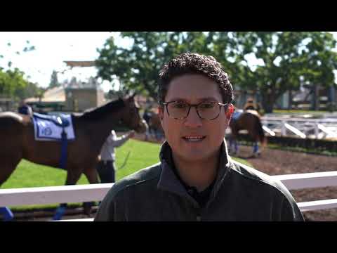 Diversifying your stable with Alex Solis II