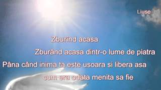 Birds of Paradise - Peter Sue Marc (Pasarile paradisului)