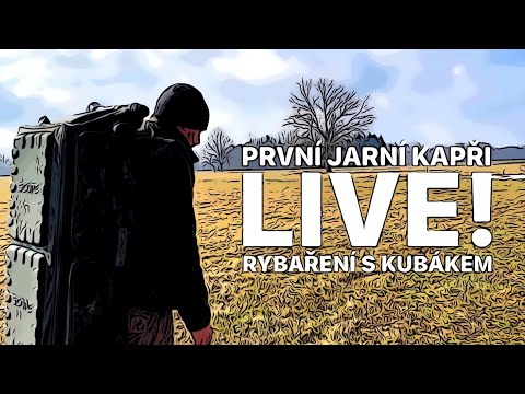 CHYTÁM KAPRY V PŘÍMÉM PŘENOSU! Moje rybářská vycházka živě! TEST BOILIES X UMĚLÁ KUKUŘICE! LIVE!