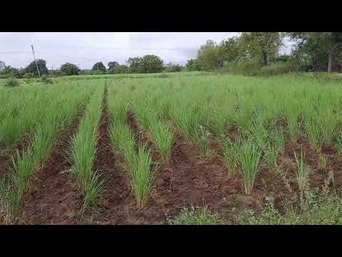 Nature's Fresh Farm First Video