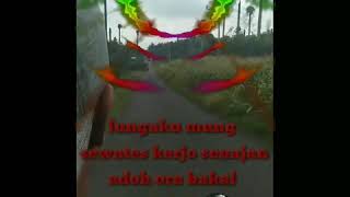 Download lagu STORY WA COVER 'SEWATES KERJO ' mp3