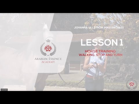 Johanna Ullstrom Masterclass - Lesson 1