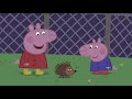 Peppa Pig S06 E09