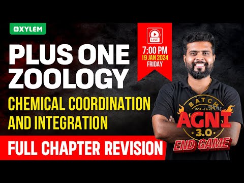 Plus One Zoology - Chemical Coordination and Integration | Xylem Plus One